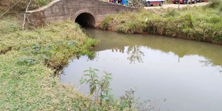 Rapaz tenta salvar irmão, mas ambos morrem afogados em rio