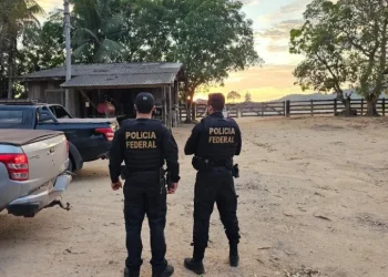 Maior devastador da floresta amazônica é preso. Saiba quem!