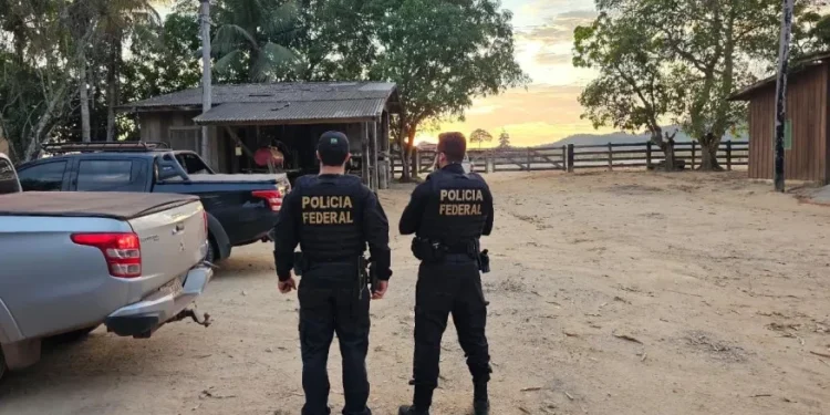 Maior devastador da floresta amazônica é preso. Saiba quem!