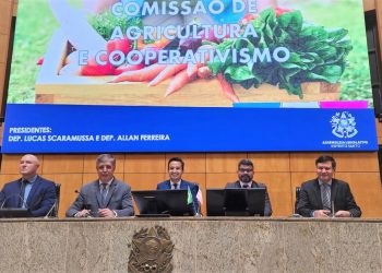 Comissões debatem programa de energia trifásica no Espírito Santo