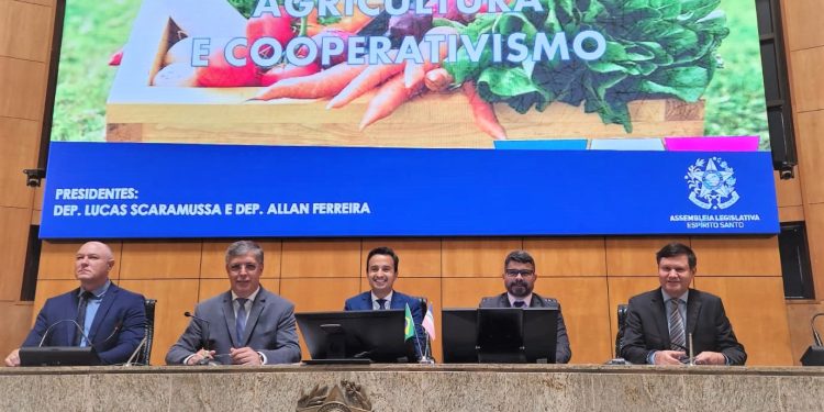 Comissões debatem programa de energia trifásica no Espírito Santo