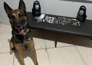 Apreensão de Drogas, Prisão de Foragido e Recuperação de Moto em Boa Esperança