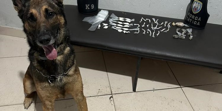 Apreensão de Drogas, Prisão de Foragido e Recuperação de Moto em Boa Esperança