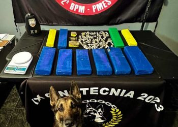 Apreenção de  mais de 10 Kg de Maconha em Nova Venécia