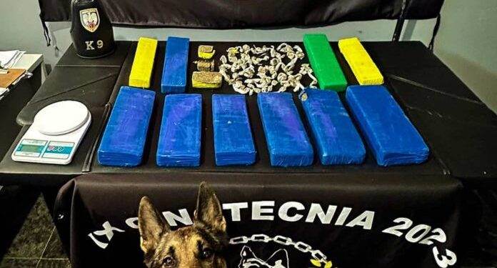 Apreenção de mais de 10 Kg de Maconha em Nova Venécia