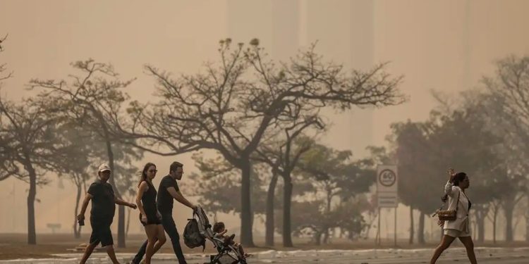 Riscos das queimadas: Como proteger a saúde pulmonar durante o período de estiagem